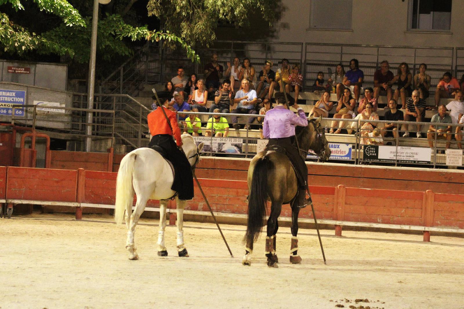 Démonstration du Haras de Castries aux arènes de Castries dans l'Hérault 