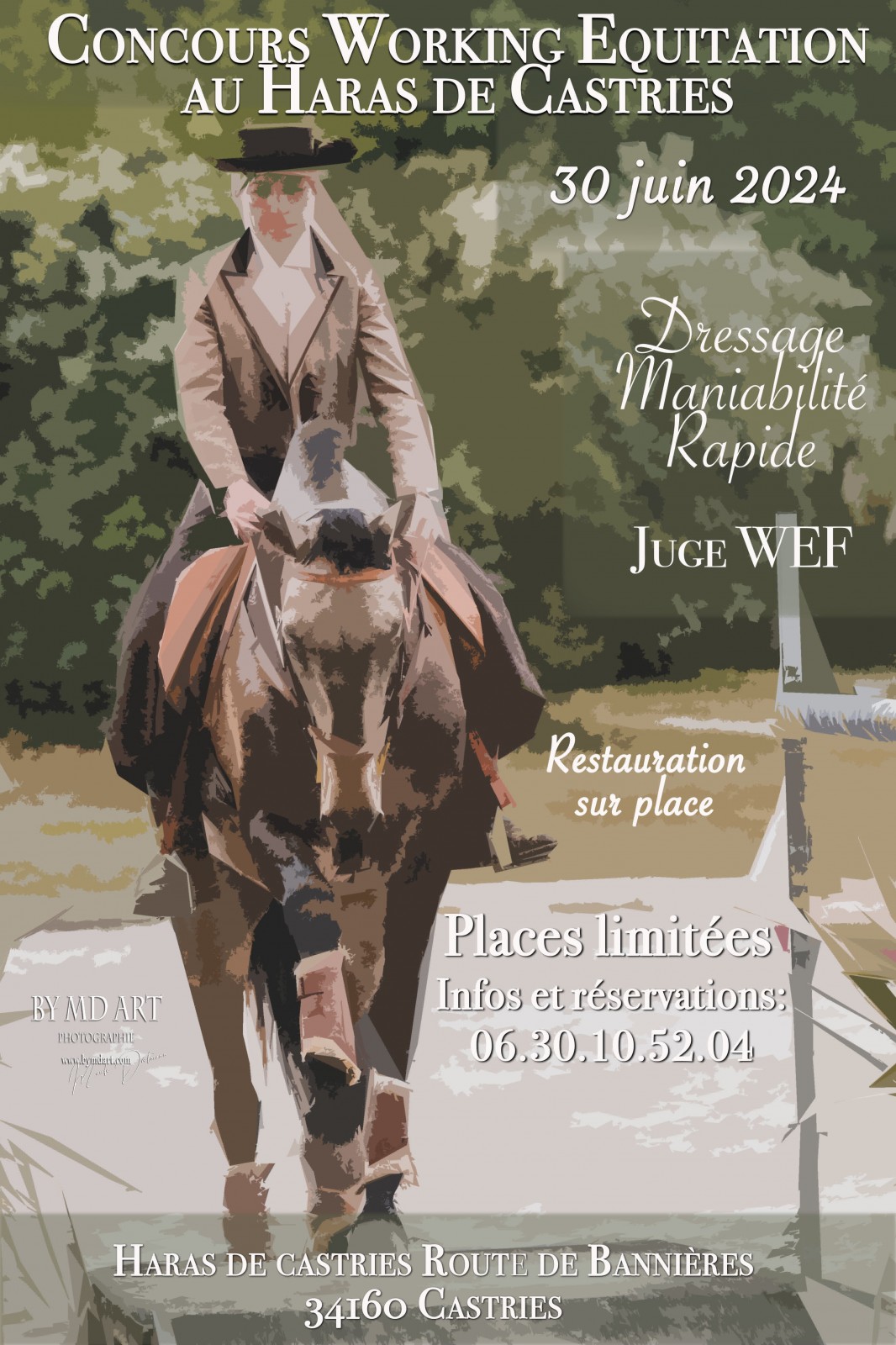 concours régional au Haras de Castries avec le Groupement working équitation Grand Sud Méditerranée 