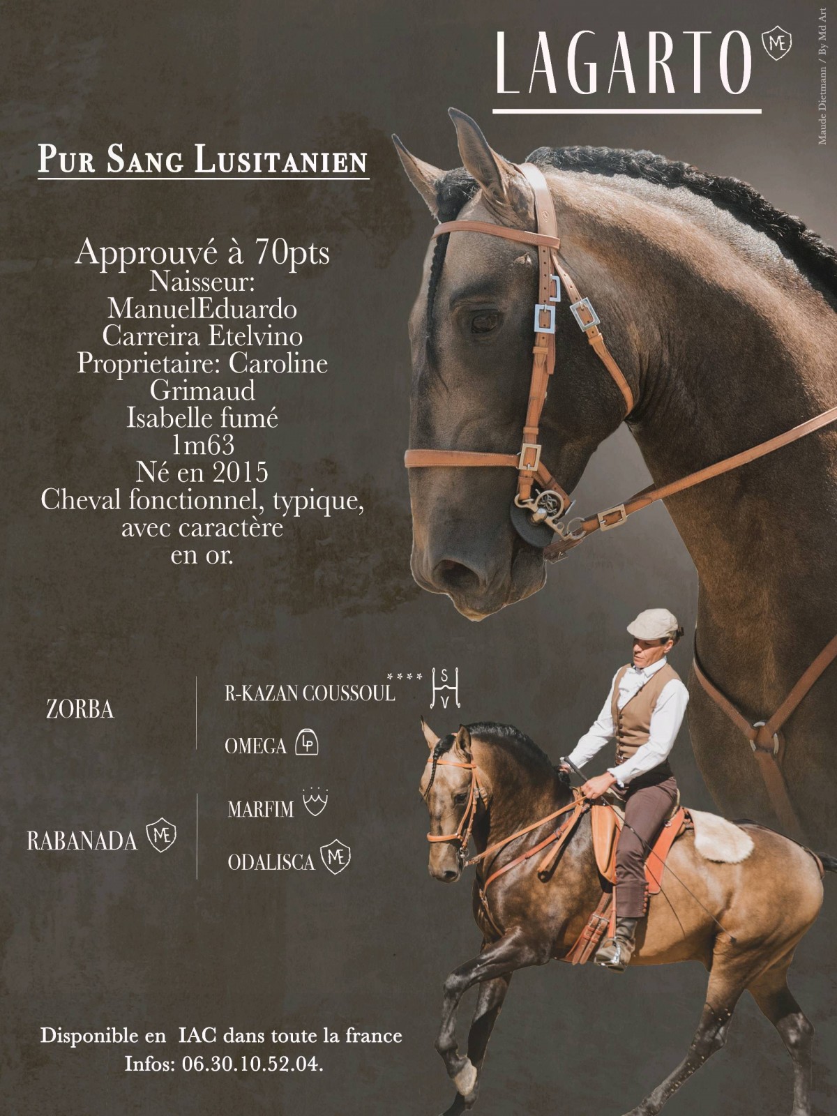 Salon Cheval Passion Avignon 