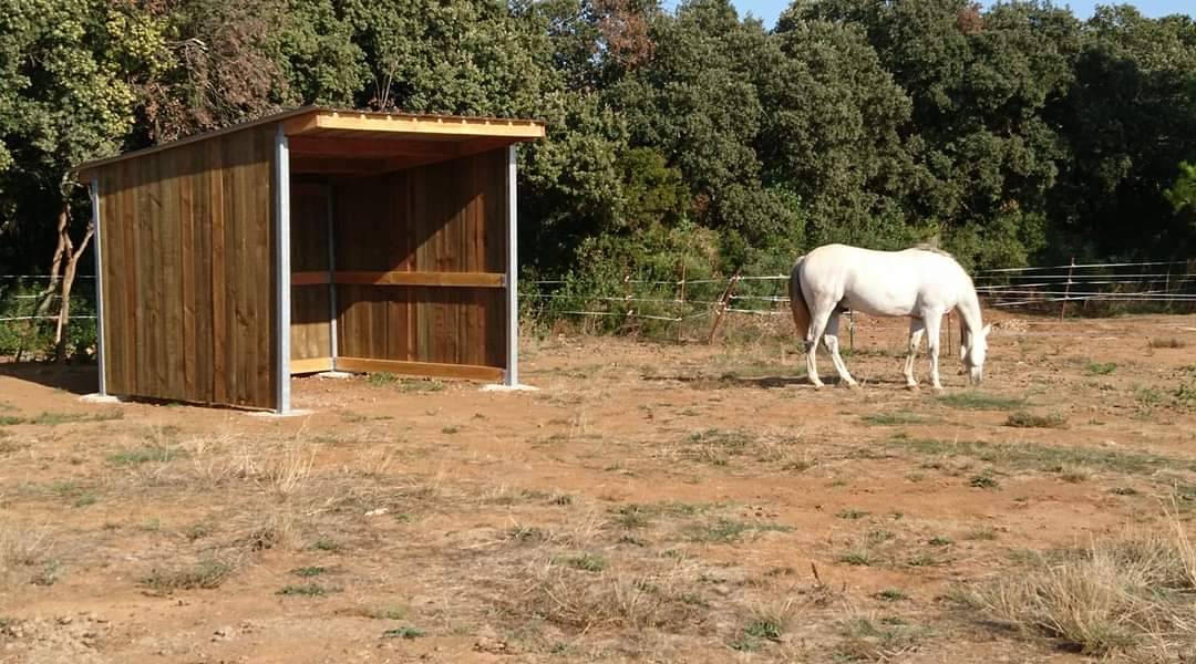 Paddock avec abri