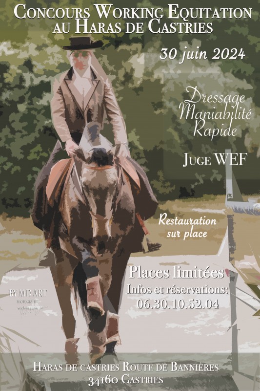 concours régional au Haras de Castries avec le Groupement working équitation Grand Sud Méditerranée 
