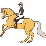 Ecole avec passage galop